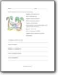 Palm Tree Reading